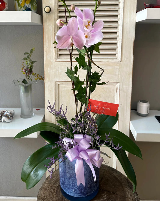 Orquídeas - COD.AO22